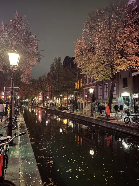 Streetlights and autumn trees reflected in a canal at night.