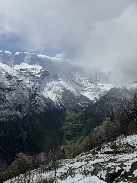 Snow-covered peaks rise above a green valley and forested slopes.
