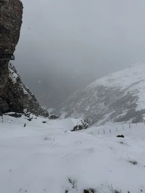 A snowy valley and cliff fade into falling snow and mist.