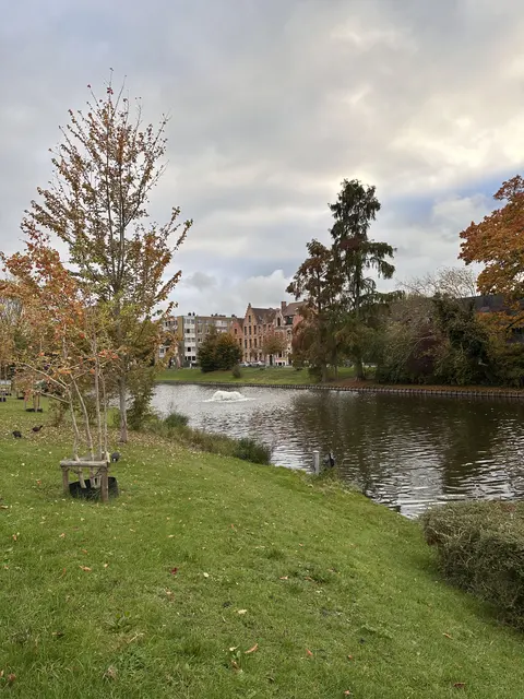 Autumn trees and grass beside a quiet pond.