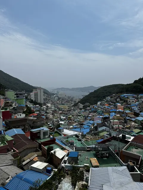 A densely built hillside neighborhood stretching toward the sea.