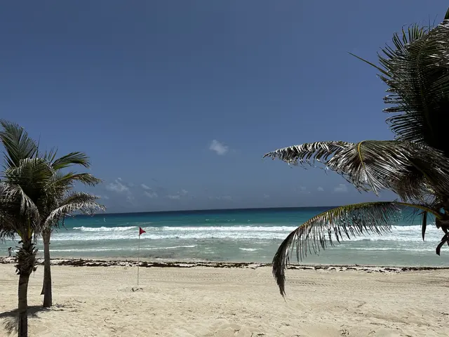 Palm trees framing a sunny beach and blue ocean.