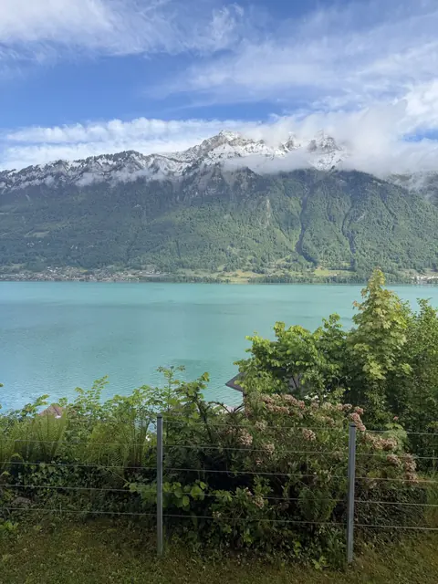 Turquoise lake water beneath snow-dusted mountains, with garden foliage in the foreground.