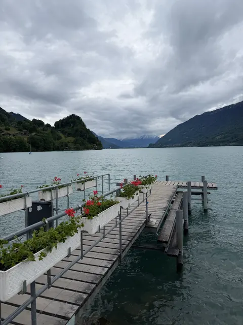 Red flowers line a wooden pier reaching into the lake beneath an overcast sky.