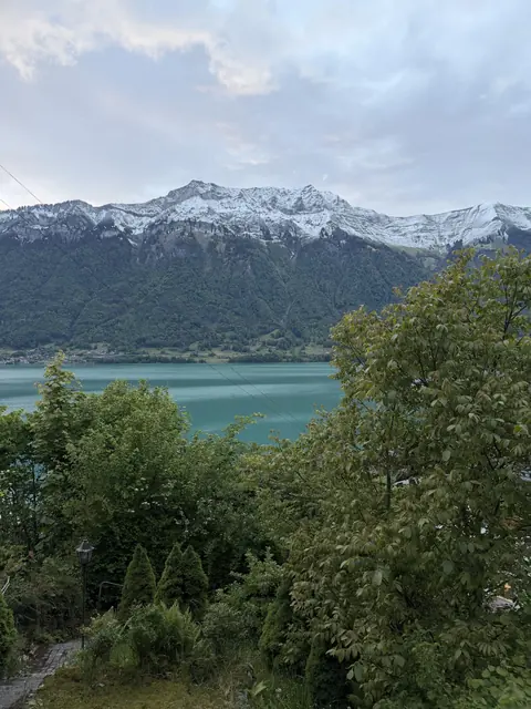 A leafy garden overlooks turquoise water and a ridge of snow-covered mountains.
