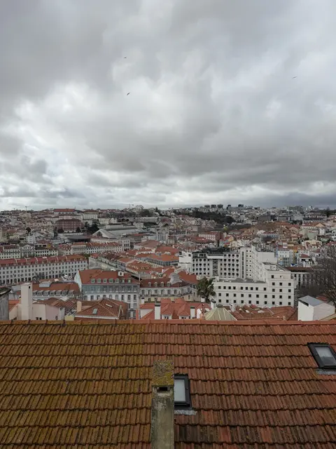 Red-tiled rooftops beneath a cloudy city skyline.