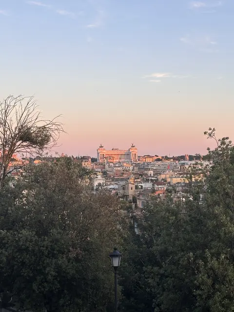 City buildings seen through trees at sunset.