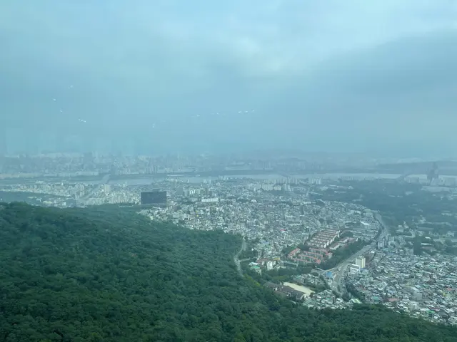 A city seen from a wooded hill through blue-tinted glass.