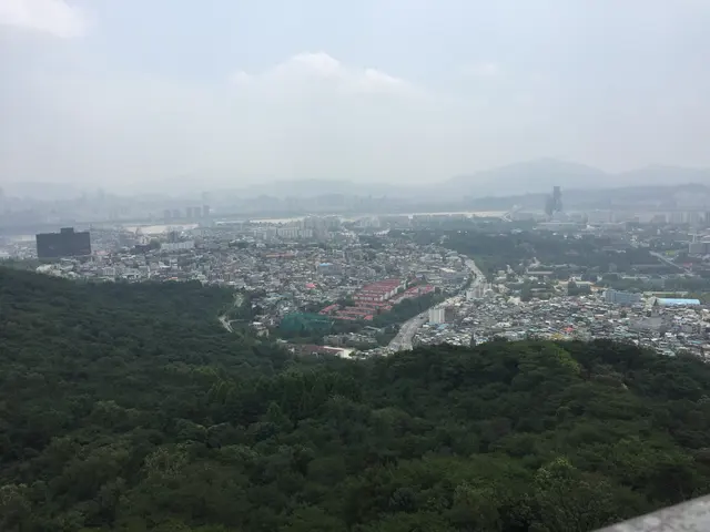 A hazy city panorama beyond a wooded hillside.