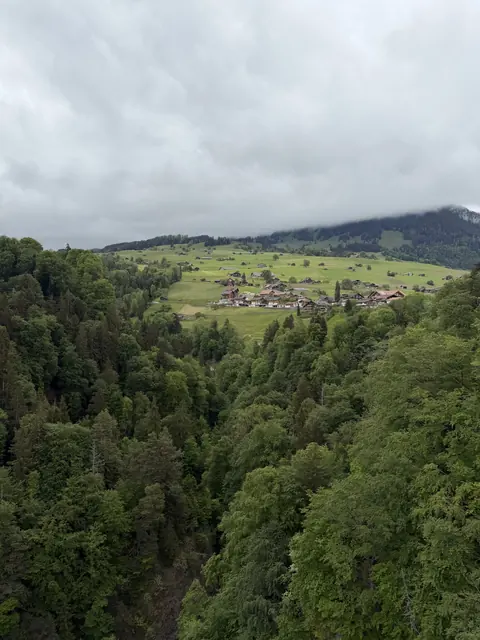 A hillside village and bright pastures overlook a densely wooded ravine.